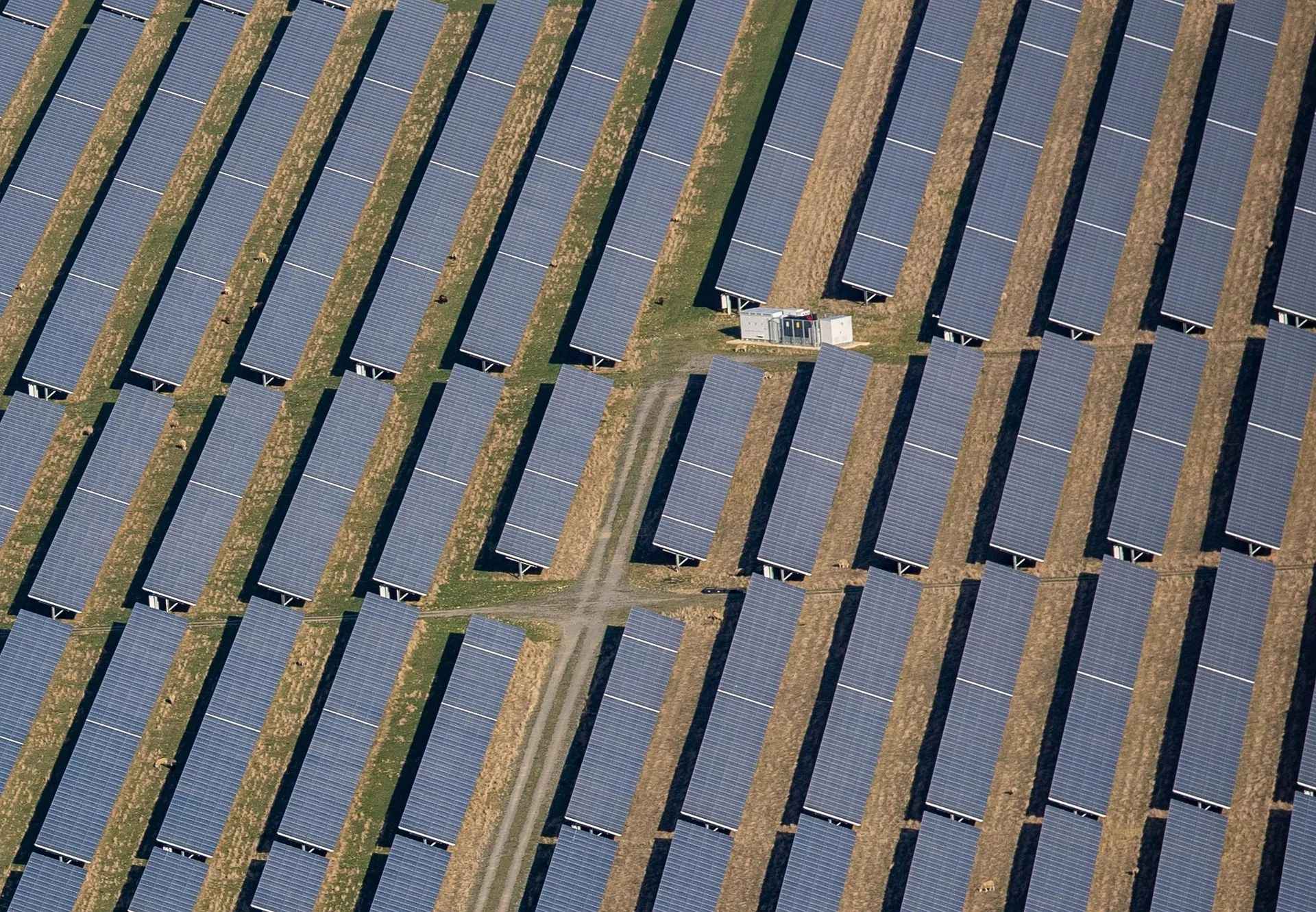 Industrial solar farm installation engineered for commercial energy reliability